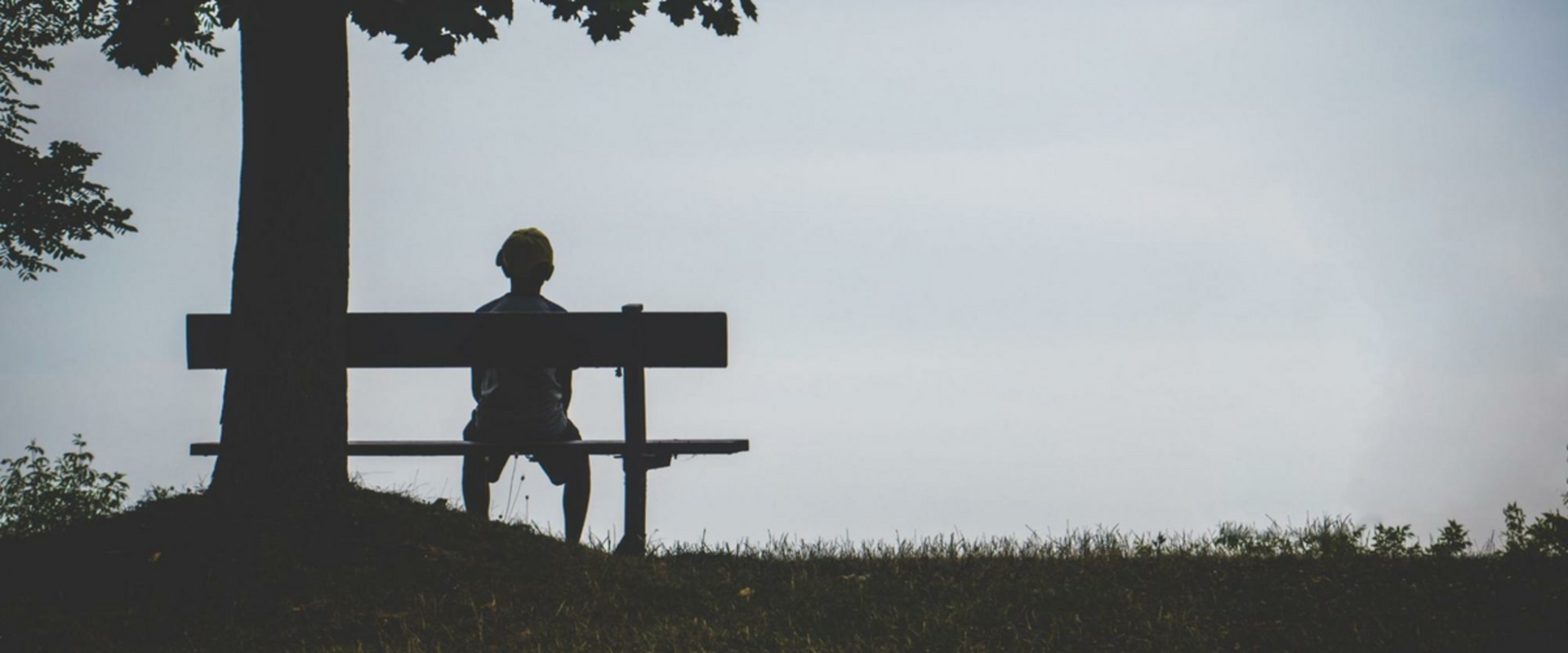 Understanding Emotional Support for Isolation and Loneliness