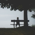 Understanding Emotional Support for Isolation and Loneliness