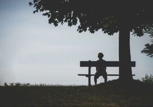 Understanding Emotional Support for Isolation and Loneliness